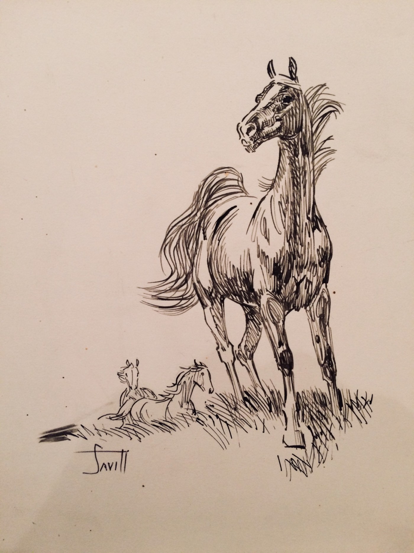 \, image size:1400x1866